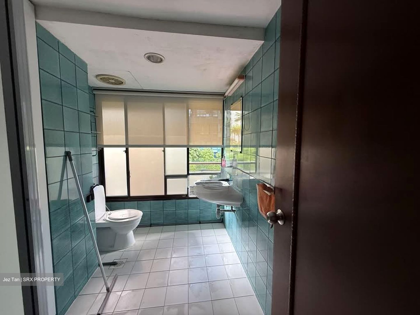Cairnhill Astoria (D9), Apartment #577691611